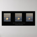 Suche nach großes siegel poster Natur