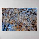 Suche nach winterliche poster Jede person