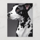 Suche nach dalmatinischer hund postkarten Haustier
