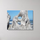 Suche nach baum fotodruck Fotografie