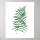Suche nach wasser pflanze poster Aquarell