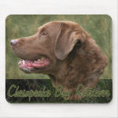 Suche nach zur schau tragen mousepads Jagd