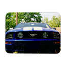 Suche nach muskel magnete Für alle