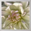 Suche nach blumenblatt poster Blumenblätter