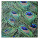 Suche nach hawaii fliesen Fotografie