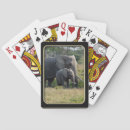 Suche nach elephant spielkarten Afrika