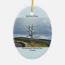 Suche nach antrieb ornamente Virginia