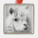 Suche nach alpaka ornamente Tier