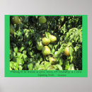 Suche nach aristoteles zitat poster Zitate