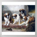 Suche nach bernard hund poster Hunde