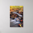 Suche nach jaynes galerie leinwandbilder Niemand