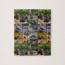 Suche nach otter puzzle Fotografie