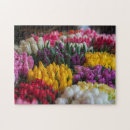 Suche nach tulpen puzzle Blumig