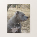 Suche nach nasen puzzle Hund