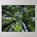 Suche nach zusammengehörigkeit poster Baum