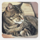 Suche nach reefer aufkleber Hauptstadt riff