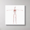 Suche nach arterien leinwandbilder Quadrat bild