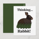 Suche nach kaninchen postkarten Hase