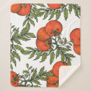 Suche nach tomaten decken Natur