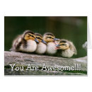 Suche nach mund offen postkarten Farbbild