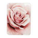 Suche nach rosa rosen magnete Mit blumen
