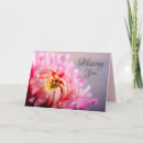 Suche nach chrysanthemen karten Rosa