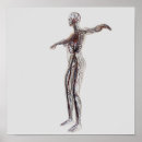 Suche nach arterien poster Illustration