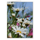 Suche nach spucken karten Blumenreich