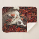 Suche nach spanien decken Spaniel