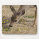 Suche nach lassen sie weiden mousepads Horizontal