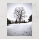 Suche nach baum postkarten Souvenir
