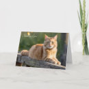 Suche nach ginger karten Jede person