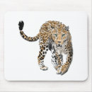 Suche nach große katzen mousepads Aquarell