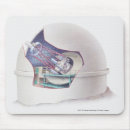 Suche nach querschnitt mousepads Studio