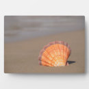 Suche nach sail fotoplatten Sand