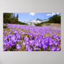 Suche nach bulgarien poster Europa