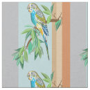 Suche nach budgerigar Vogel