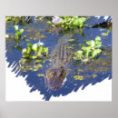 Suche nach alligator poster Louisiana