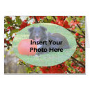 Suche nach rot fotokarten Floral