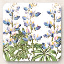 Suche nach lupine untersetzer Blumen