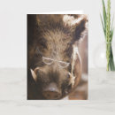 Suche nach wildschwein karten Spaß