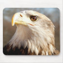 Suche nach patriotismus mousepads Adler