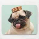 Suche nach zungen mousepads Mops