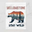 Suche nach grizzly postkarten Wild