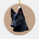 Suche nach schwarze schafe ornamente Haustiere