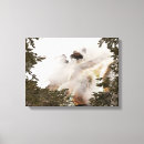 Suche nach amerikanischer büffel leinwandbilder Yellowstone nationalpark
