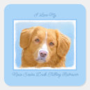 Suche nach nova aufkleber Nova scotia duce müllretever