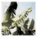 Suche nach tropischer regenwald poster Baum