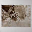 Suche nach cowboy pferd poster Rustikal