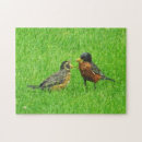 Suche nach rotkehlchen puzzle Foto